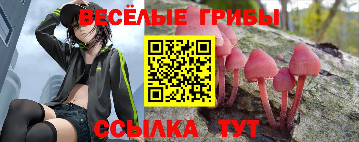 Галлюциногенные грибы мухоморы Славянск-на-Кубани